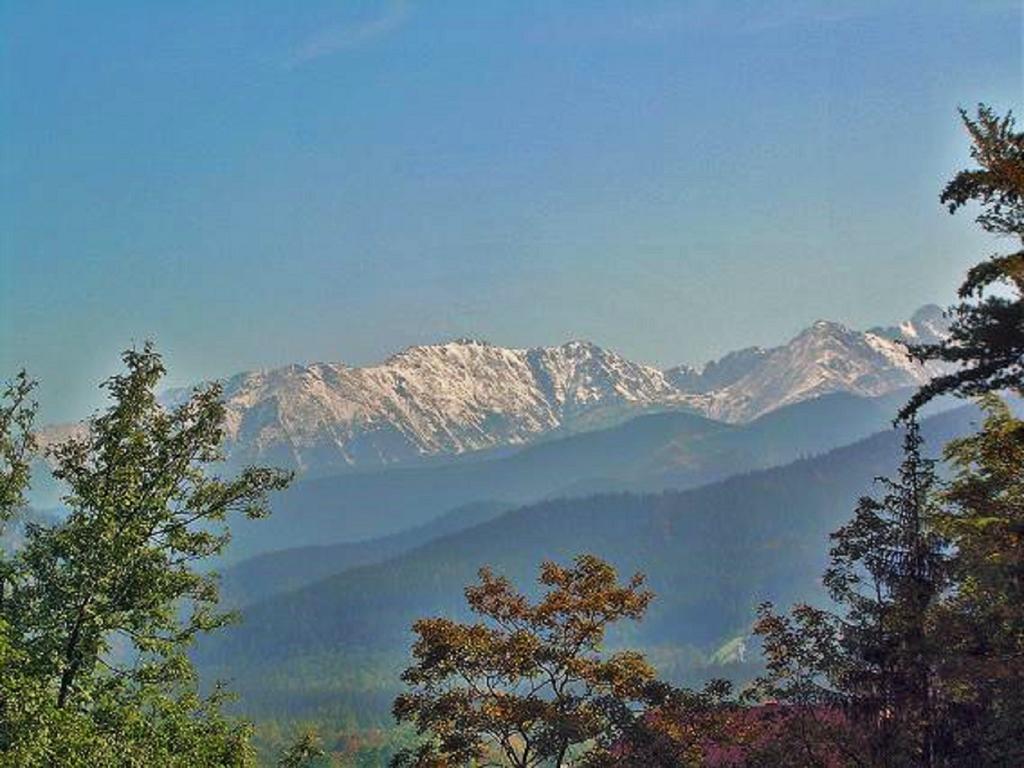 Tatrytop Apartamenty Comfort Zakopane Kültér fotó